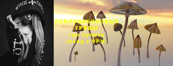 MDMA Premium VHQ Бронницы